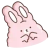 🐇Suppy pink 2🐇 Mov 11