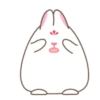 Adorable bunny 14