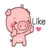 CERDITA KAWAII 8