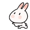 🐇Chewy rabbit 2🐇 Mov 13