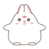 Adorable bunny 15