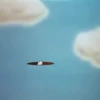 Bugs Bunny 15