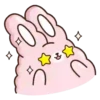 🐇Suppy pink 2🐇 Mov 13