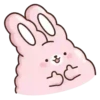 🐇Suppy pink 2🐇 Mov 14