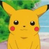 Pikachu 17
