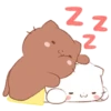 🍫🐱Chocolate cats🐱🍫 Mov 12