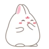 Adorable bunny 17