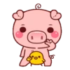 CERDITA KAWAII 12