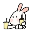 🐇Chewy rabbit 2🐇 Mov 17