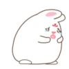 Adorable bunny 18