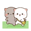 🐱Mochi Peach Cat🐈 #12 MOV 17