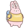 🐇Suppy pink 2🐇 Mov 17