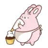 🐇Suppy pink 2🐇 Mov 18