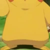 Pikachu 24