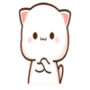 IPeach Cats 3 MOV 24