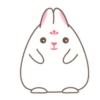 Adorable bunny 19