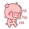 CERDITA KAWAII 15