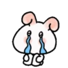 🐇Chewy rabbit 2🐇 Mov 19
