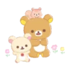 🐻Friends of Chairoikoguma🐻 Mov 18