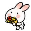 🐇Chewy rabbit 2🐇 Mov 22