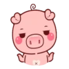 CERDITA KAWAII 16