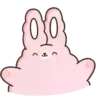 🐇Suppy pink 2🐇 Mov 19