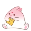 Adorable bunny 21