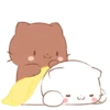 🍫🐱Chocolate cats🐱🍫 Mov 16