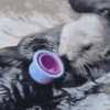 🦦My significant otter🦦 Mov 29