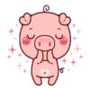 CERDITA KAWAII 17