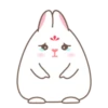 Adorable bunny 22