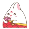 Adorable bunny 23