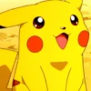 Pikachu 29