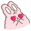 🐇Suppy pink 2🐇 Mov 21