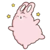 🐇Suppy pink 2🐇 Mov 22