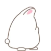 Adorable bunny 24