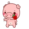 CERDITA KAWAII 21