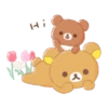 🐻Friends of Chairoikoguma🐻 Mov 24