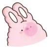 🐇Suppy pink 2🐇 Mov 23