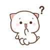 🐱Mochi Peach Cat🐈 #12 MOV 24