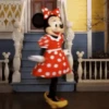 Mundo da Disney 6