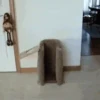 Perritos Funnymov 8