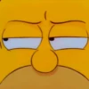 Homero Simpson 2 6