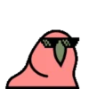 🦜 Loro de fiesta 3 🦜 5