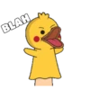 Shy Duck  Mov 8