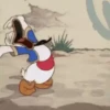 Risas Mov 8