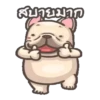 perritos 7