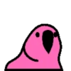 🦜 Loro de fiesta 3 🦜 8