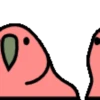 🦜 Loro de fiesta 3 🦜 10