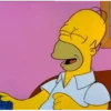 Homero Simpson 2 12